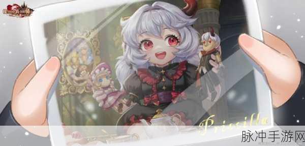 坎公骑冠剑，狐狸奈莉饰品最佳选择指南