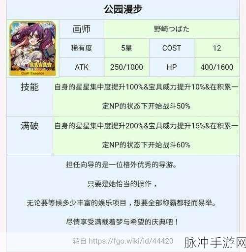 FGO指令纹章深度解析，战斗效能提升的关键