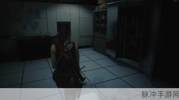 生化危机2重置版，全面解密攻略指南