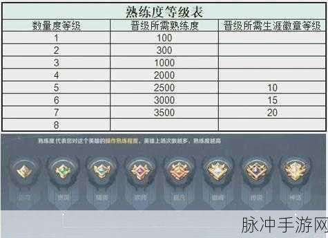 王者荣耀快速升级熟练度，全面攻略与指南