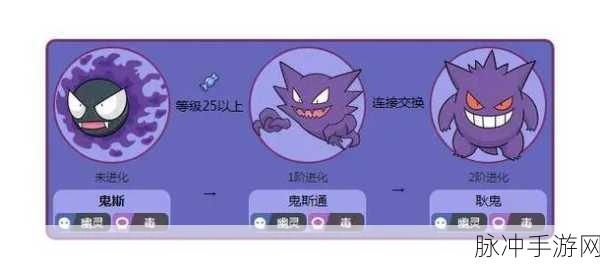 宝可梦大集结耿鬼深度攻略，配招推荐与实战技巧