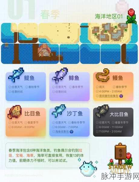 星露谷物语夜市敲贝壳无反应？官方攻略助你重拾乐趣