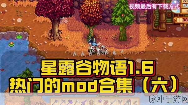 星露谷物语夜市敲贝壳无反应？官方攻略助你重拾乐趣