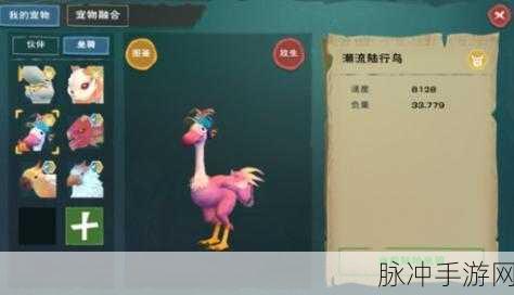创造与魔法，揭秘潮流陆行鸟高效捕捉地点与攻略