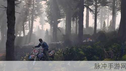 深入探究 GTA5 初始存档 PC 中的虚拟犯罪天地
