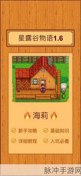 星露谷物语深度攻略，如何进入海莉的房间