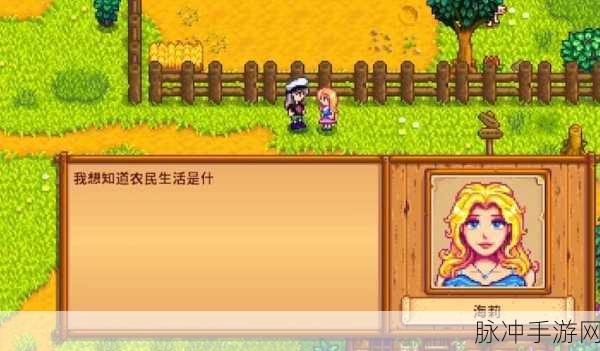 星露谷物语深度攻略，如何进入海莉的房间