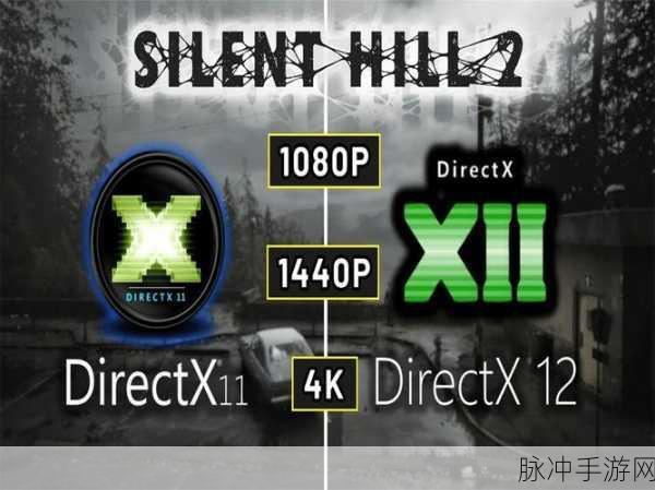 寂静岭2重制版帧数优化全攻略，解锁DX11启动与画质调整策略，畅享丝滑游戏体验