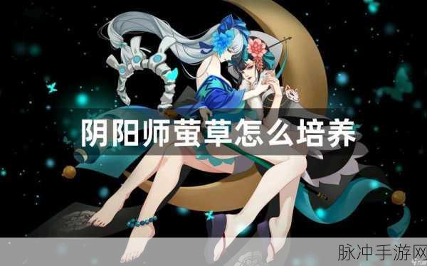 阴阳师莹草培养价值的深度剖析