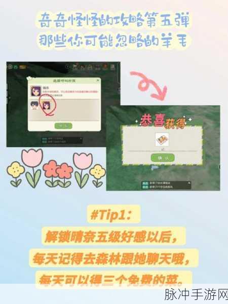 小森生活，轻松领养多只萌猫秘籍大公开