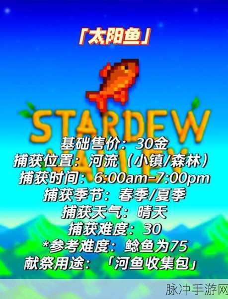星露谷物语大头鱼垂钓深度指南，精通钓法与揭秘最佳垂钓地点