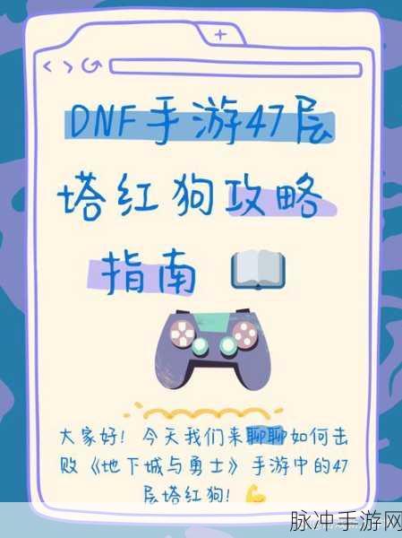 DNF 手游，拓展券深度剖析与最佳选择指南