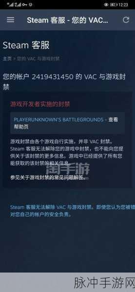 GTA5 手游，与友共乐的绝佳秘籍