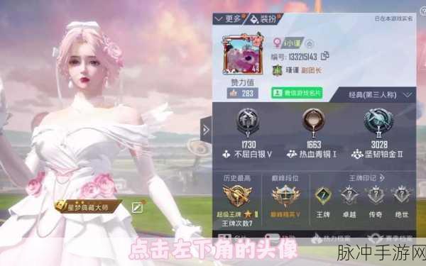 和平精英，轻松更改性别标志为女的详细攻略