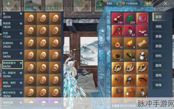 妄想山海重光技能书获取全攻略
