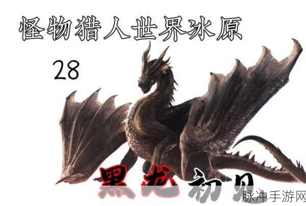 怪物猎人世界冰原解锁黑龙全攻略，畅游狩猎之旅