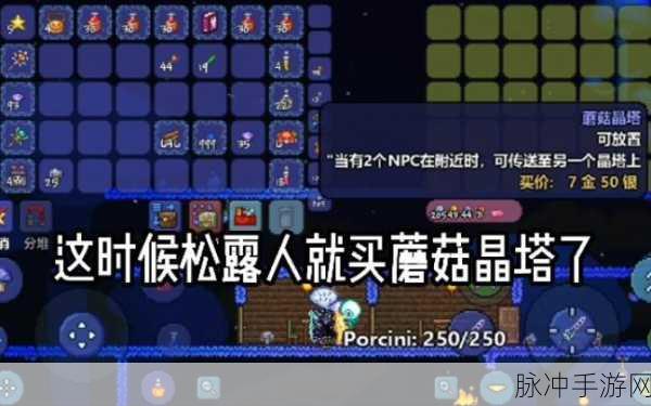 泰拉瑞亚万能晶塔获取全攻略，解锁传送新体验