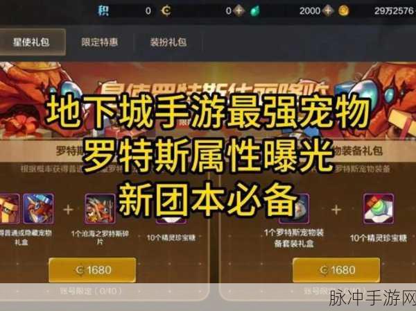 DNF手游韩服拍卖场深度解析，导师套宠物光环真相揭秘