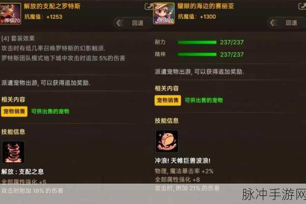 DNF手游韩服拍卖场深度解析，导师套宠物光环真相揭秘