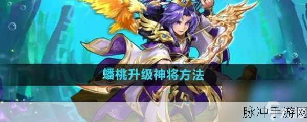 少年西游记提升武器品质的绝佳秘籍