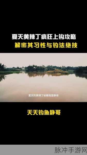 神都夜行录钓鱼全攻略，掌握技巧，满载而归