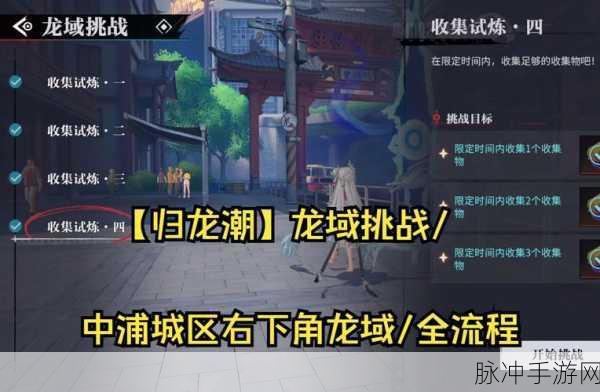 归龙潮无尽龙域深度玩法解析，挑战与策略并存