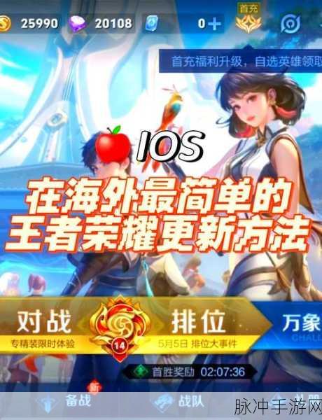 王者荣耀资源包升级失败的深度剖析与解决指南