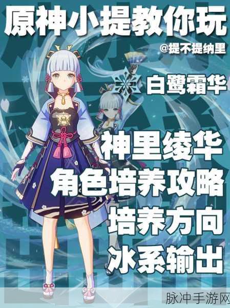 原神神里绫华怎么配队？神里绫华配队选择推荐