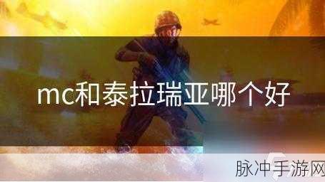 泰拉瑞亚游戏攻略，全面解析配重块的获取方法及其应用价值