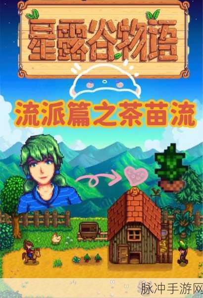 星露谷物语，高效捕鱼攻略，精选鱼钩类型推荐助你满载而归