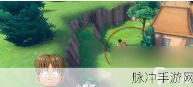 航海王热血航线深度攻略，解锁高级家具任务，轻松获取丰厚奖励的秘诀