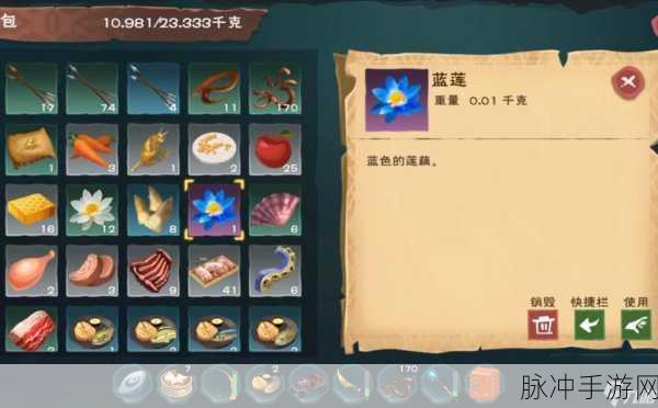 探索创造与魔法的奇妙世界，揭秘莲子羊汤的神奇配方