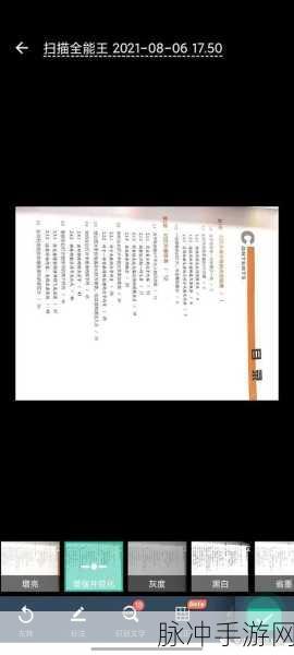 手游攻略神器，手机扫描王全面解析与应用指南