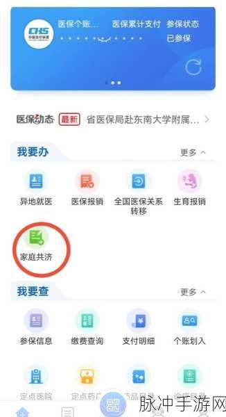 手游玩家必看，如何在支付宝上便捷为家人缴纳医保费用