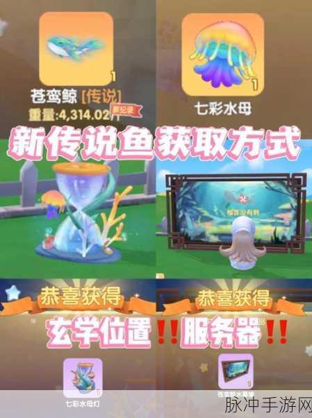 摩尔庄园手游攻略，草莓七彩汤的完美火候揭秘