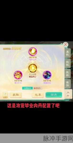 大话西游 2 手游血宠内丹选择全攻略