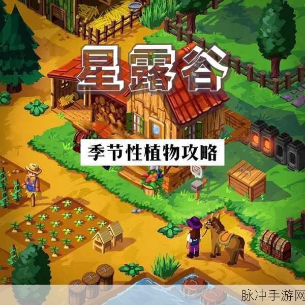 星露谷物语天气变化预测解析与攻略，精准掌握天气，畅享农场生活