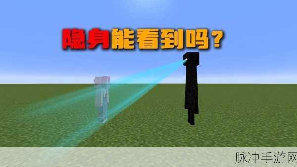 我的世界，末影之地探险深度指南