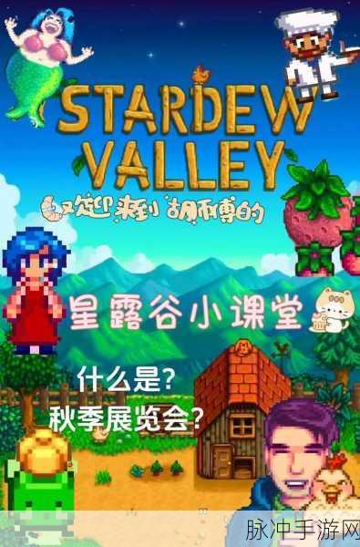 星露谷物语展览会，畅玩秘籍与深度攻略