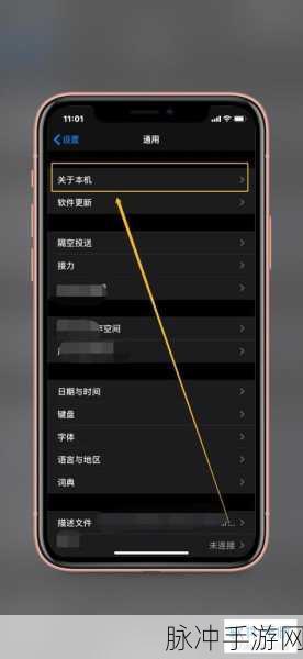 苹果用户必看，如何查看手机型号以优化手游体验