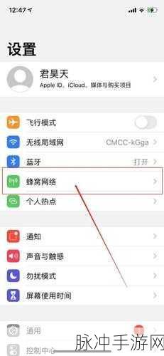 苹果用户必看，如何查看手机型号以优化手游体验
