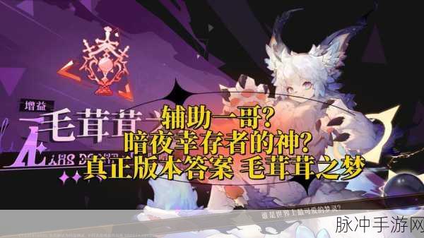 无尽梦回，揭秘呼噜是谁与毛茸茸之梦深度攻略