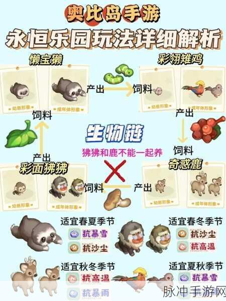 奥比岛手游全攻略，安卓与苹果数据互通详解