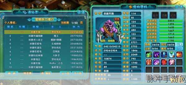 梦幻诛仙手游深度攻略，揭秘85级黑龙归来与兽神出世通关秘籍