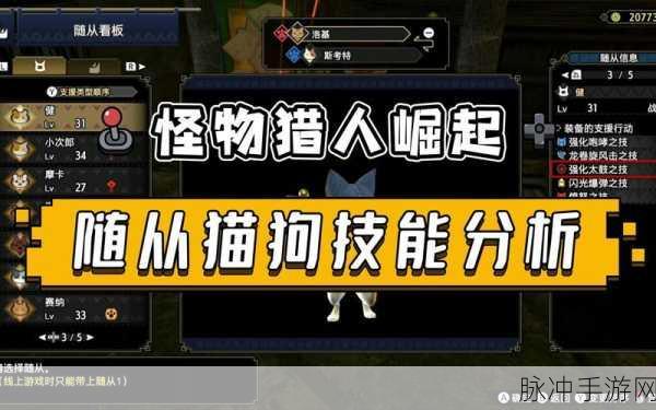 怪物猎人崛起，猫类型全解析，助你选对最佳伙伴
