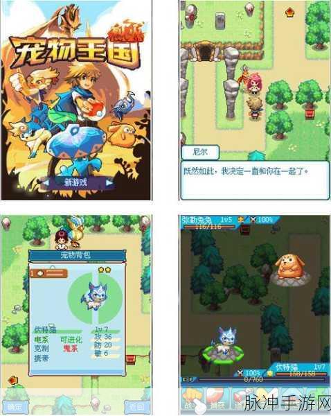 宠物王国6攻略，唤醒烈火冥王龙，揭秘火把点燃位置