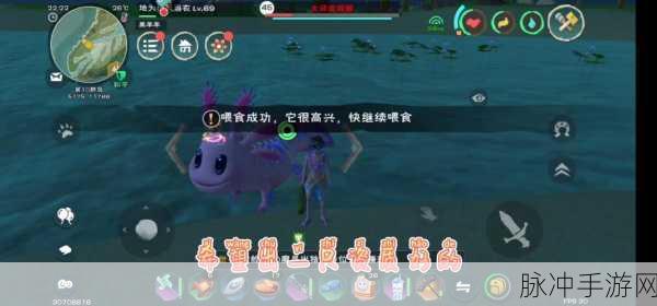 探索创造与魔法中蝾螈捕捉，饲料包保底数量的全面解析