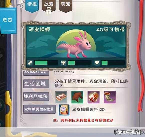 探索创造与魔法中蝾螈捕捉，饲料包保底数量的全面解析