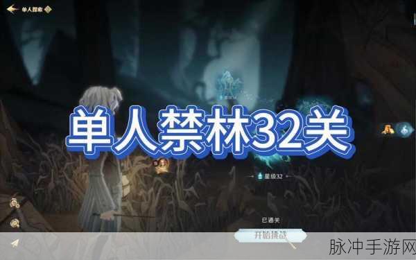 蓝色禁林挑战攻略，深入哈利波特魔法觉醒的魔法奥秘