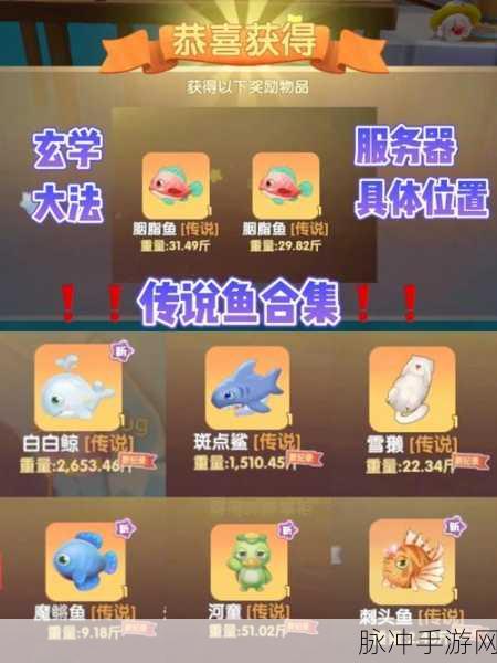 摩尔庄园手游，渔网购买秘籍全解析
